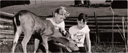 Two boys wearing "San Francisco" t-shirts feed a deer in a field, with a wooden fence and a distant building in the background.