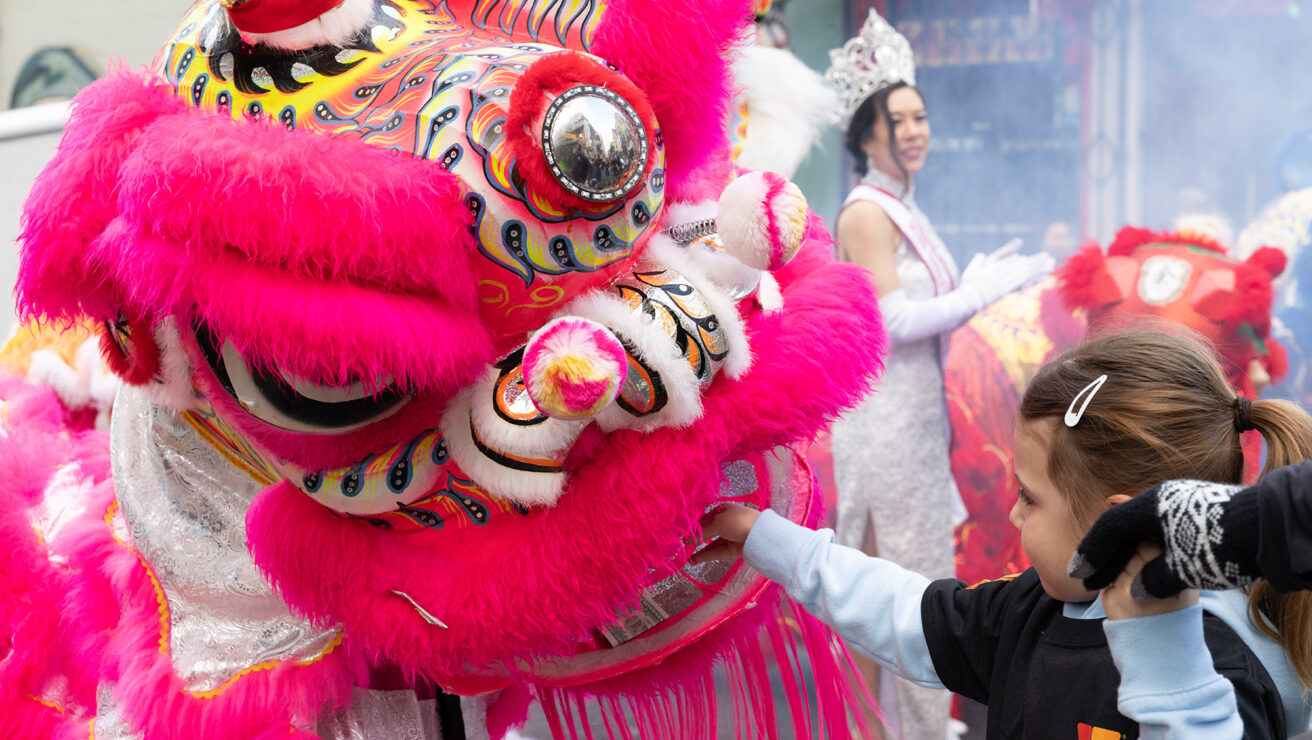 A child reaches out to touch a vibrant pink lion costume during a street parade, with performers and spectators visible in the background.