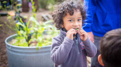 A young child with curly hair stands outside during a preschool open house, smiling and biting into a green bean, with plants and a metal garden bed in the background.